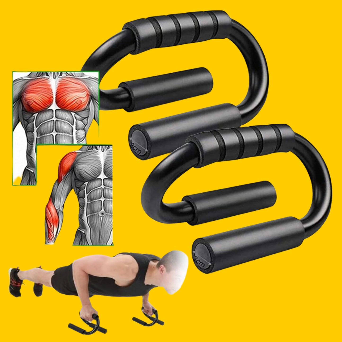 Push Up Bar